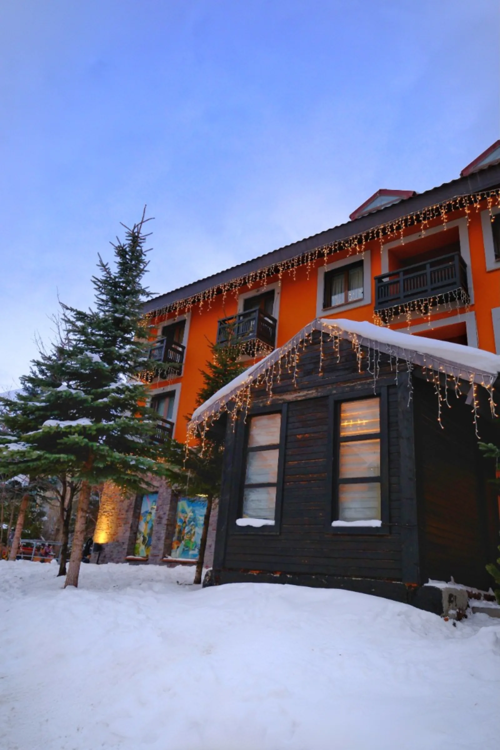 Dedeman Ski Lodge+