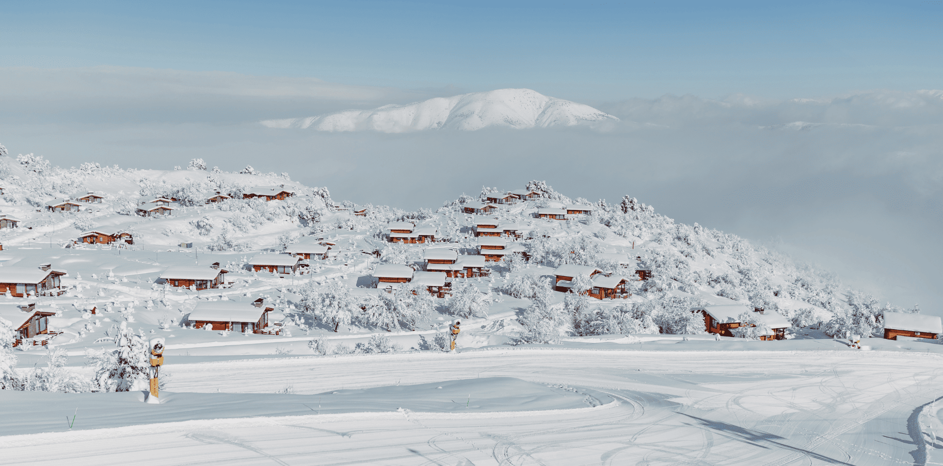 Img 36 Infographic Bg