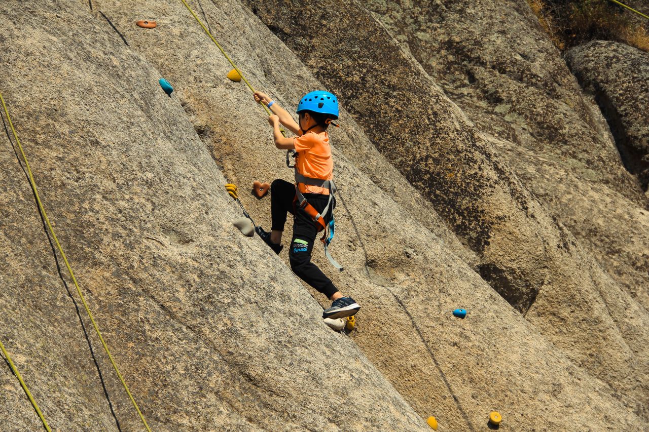 Logo 102 F078E53343Cc49Bc7E307D35607E498D