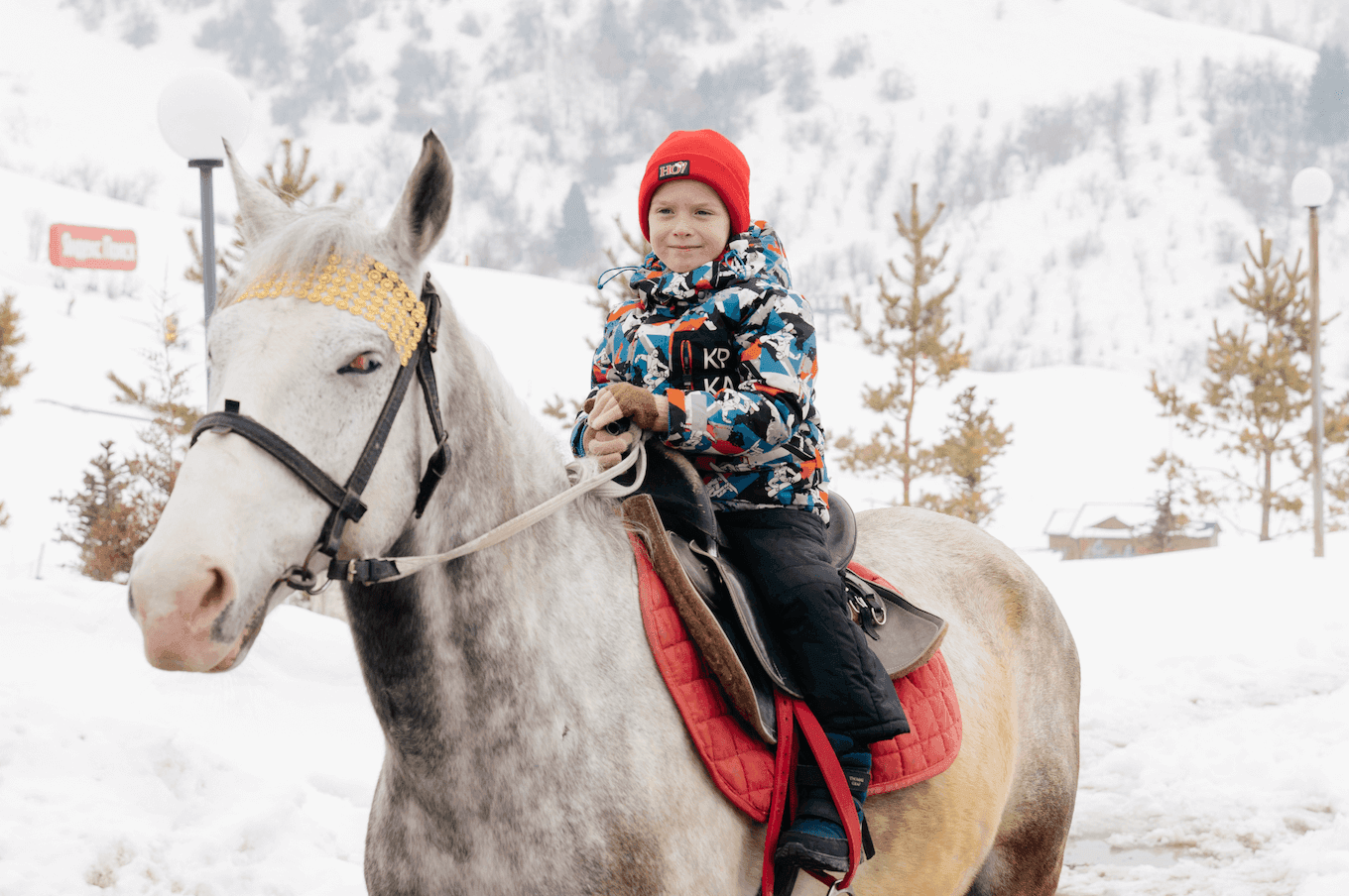 Logo 65 Fa049035F58E80De1D1Bd1B1273428Bb