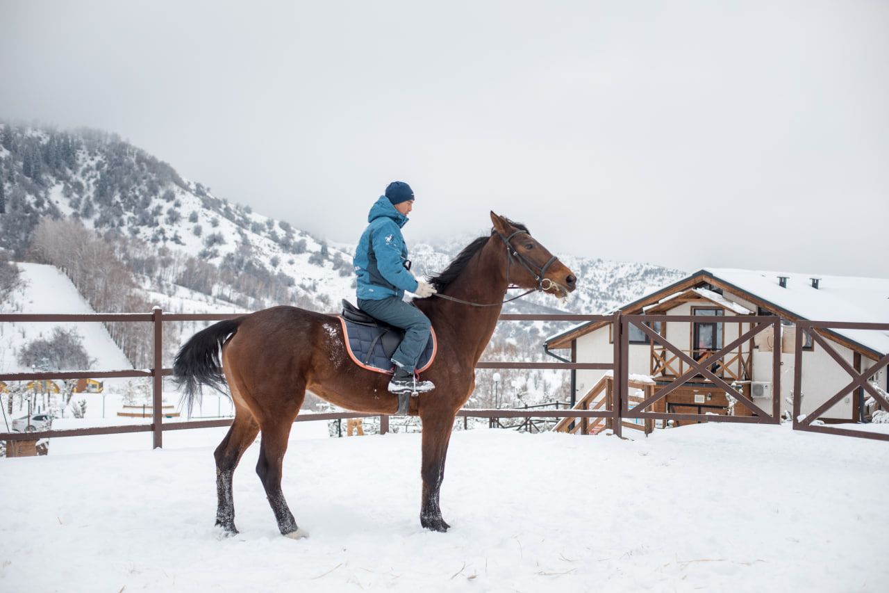 Logo 66 4B0Fc185F3D0Dd3351D17Ddfb563D954