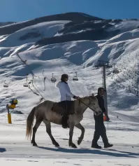 Img 23 Thumb 536 237 0 0 Auto