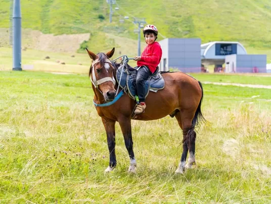 Img 58 Thumb 536 237 0 0 Auto