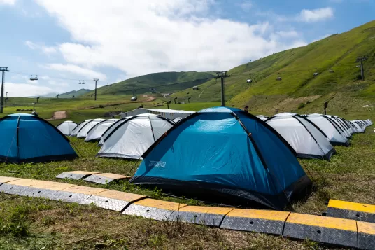 Img 61 Thumb 536 237 0 0 Auto